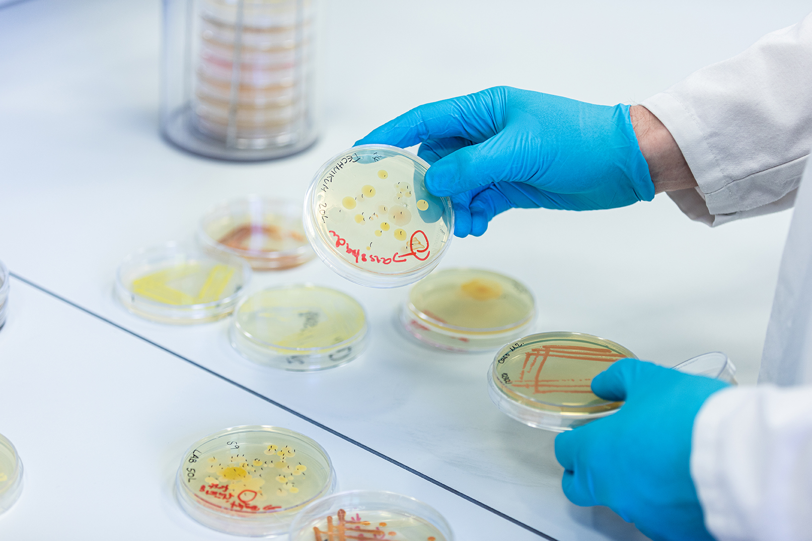 Quantitative analysis of microorganisms.